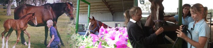 Welcome to Equivet Australia