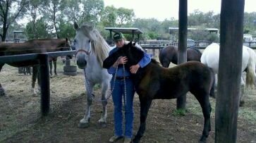 samme-with-foal-at-ebc-resize-2